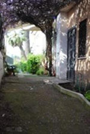 Hotel Rosen 2*